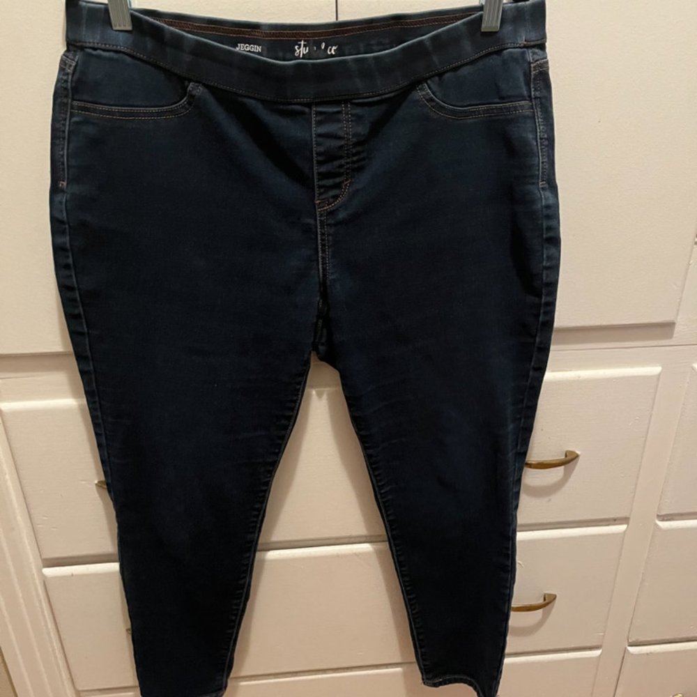 Style  & Co XL Jegging Jeans